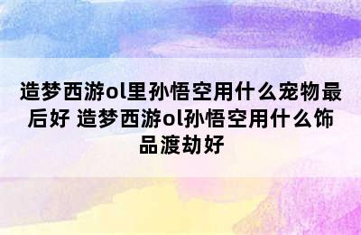 造梦西游ol里孙悟空用什么宠物最后好 造梦西游ol孙悟空用什么饰品渡劫好